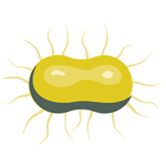 Infertility Treatment for Men & Women